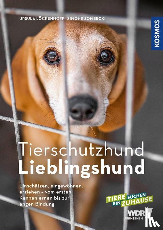 Löckenhoff, Ursula, Sombecki, Simone - Tierschutzhund Lieblingshund