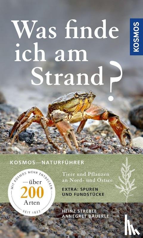 Streble, Heinz, Bäuerle, Annegret - Was finde ich am Strand?
