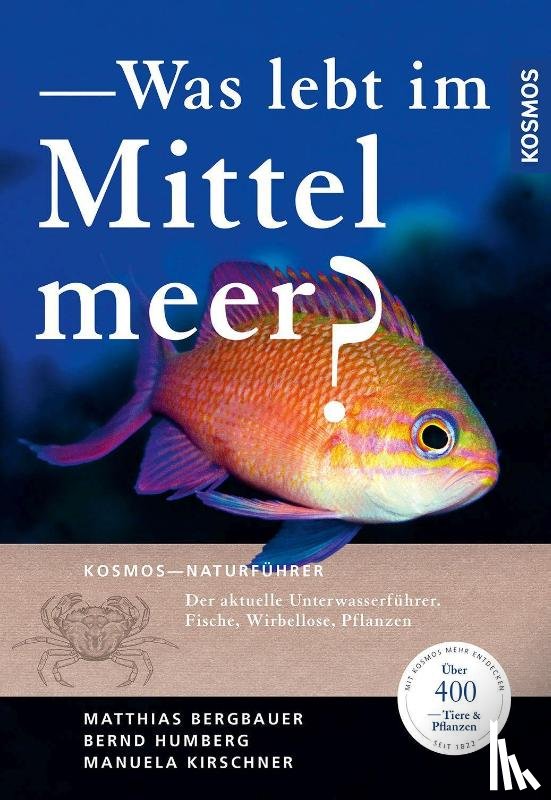 Bergbauer, Matthias, Humberg, Bernd, Kirschner, Manuela - Was lebt im Mittelmeer?