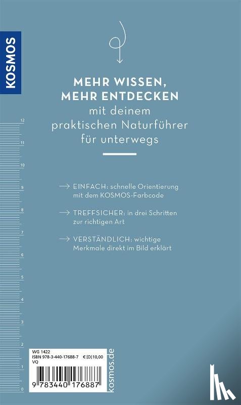 Wilhelmsen, Ute - Basic Strand und Küste