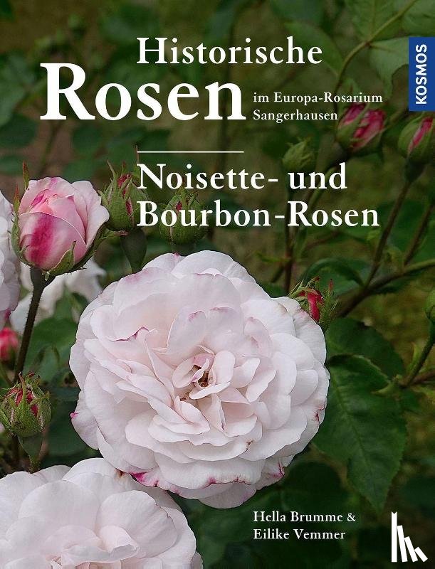 Brumme, Hella, Vemmer, Eilike - Historische Rosen im Europa Rosarium Sangerhausen: Noisette- und Bourbon-Rosen