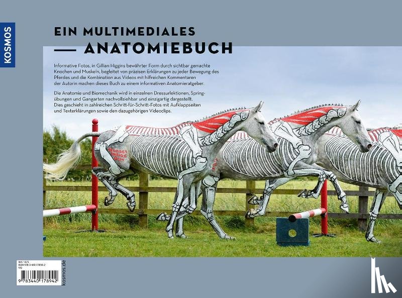 Higgins, Gillian - Anatomie in Bewegung