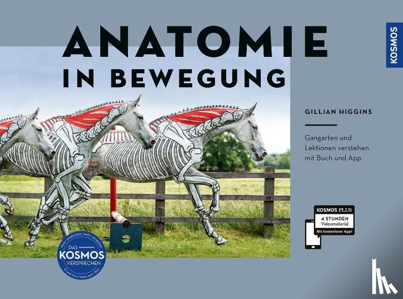 Higgins, Gillian - Anatomie in Bewegung