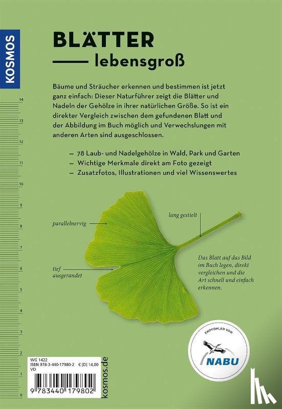 Bosch, Meike - Bäume am Blatt erkennen - 78 Laub- und Nadelgehölze. Blätter in Originalgröße