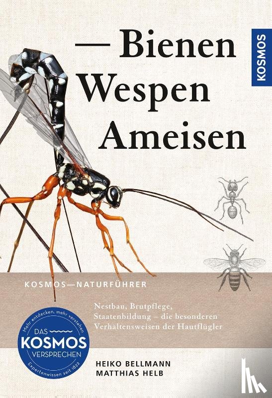 Bellmann, Heiko, Helb, Matthias - Bienen, Wespen, Ameisen