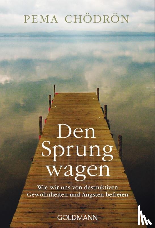 Chödrön, Pema - Den Sprung wagen