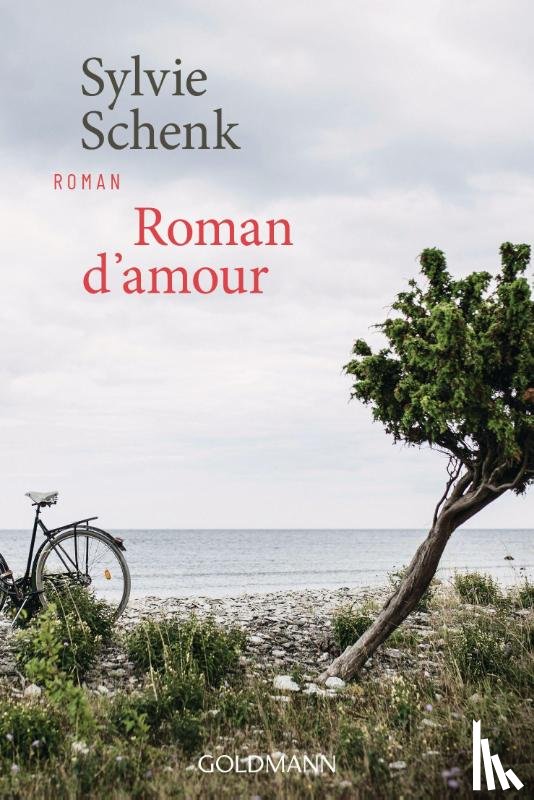 Schenk, Sylvie - Roman d'amour