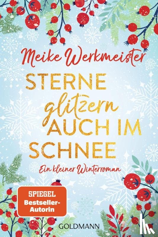 Werkmeister, Meike - Sterne glitzern auch im Schnee
