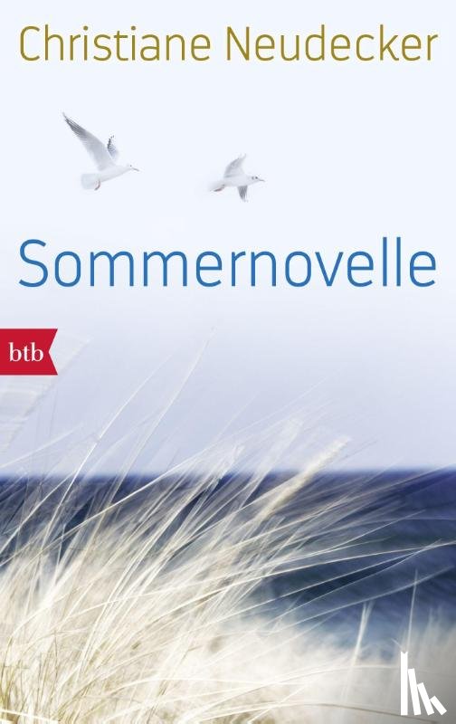 Neudecker, Christiane - Sommernovelle