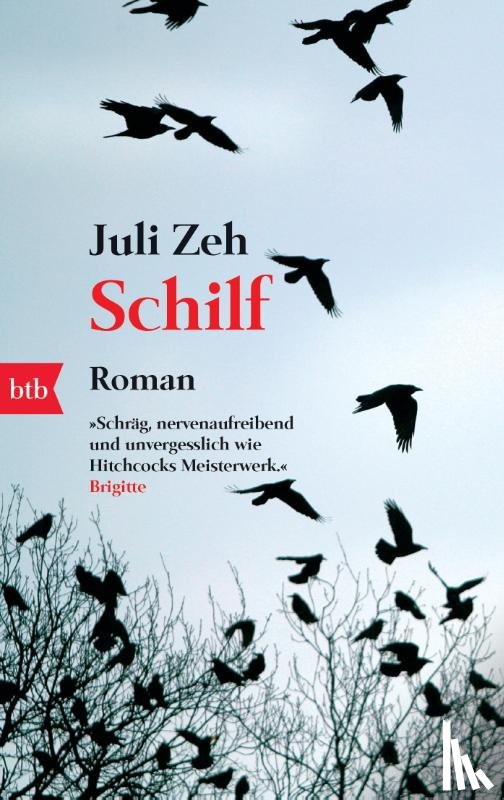 Zeh, Juli - Schilf