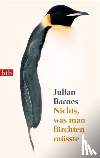Barnes, Julian - Nichts, was man fürchten müsste