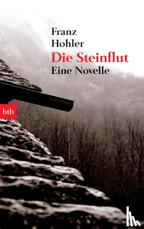Hohler, Franz - Die Steinflut