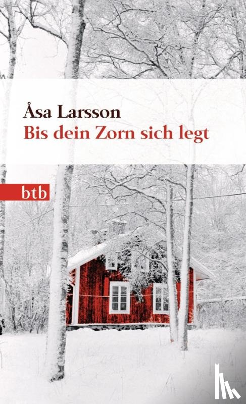 Larsson, Åsa - Bis dein Zorn sich legt