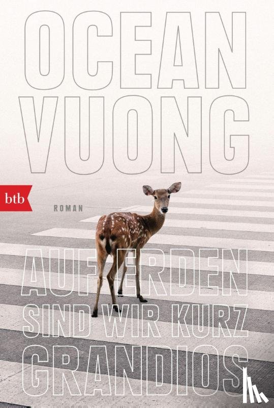 Vuong, Ocean - Auf Erden sind wir kurz grandios