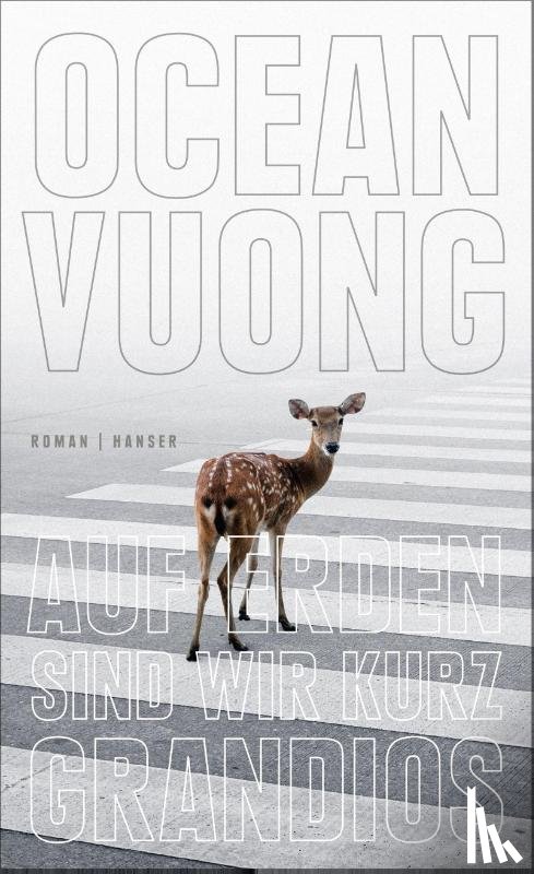 Vuong, Ocean - Auf Erden sind wir kurz grandios