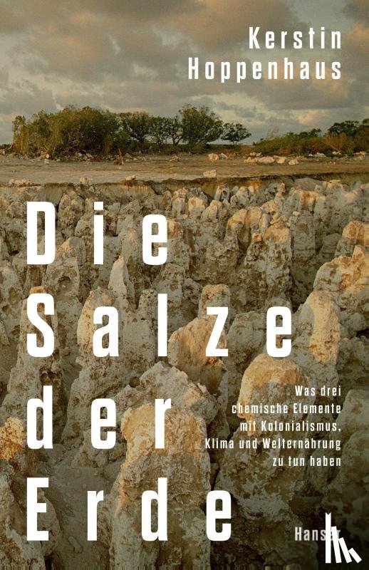 Hoppenhaus, Kerstin - Die Salze der Erde