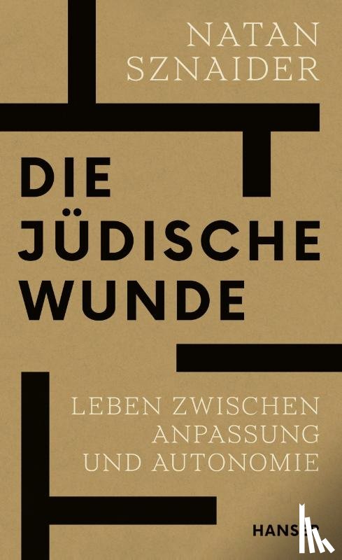 Sznaider, Natan - Die jüdische Wunde