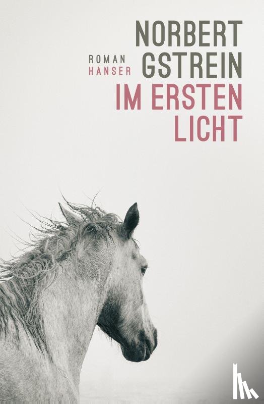 Gstrein, Norbert - Im ersten Licht