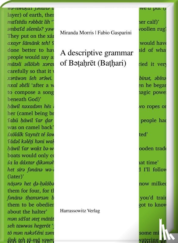 Morris, Miranda, Gasparini, Fabio - A descriptive grammar of B¿¿a¿r¿t (Ba¿¿ari)
