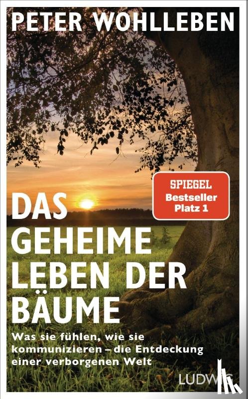 Wohlleben, Peter - Das geheime Leben der Bäume