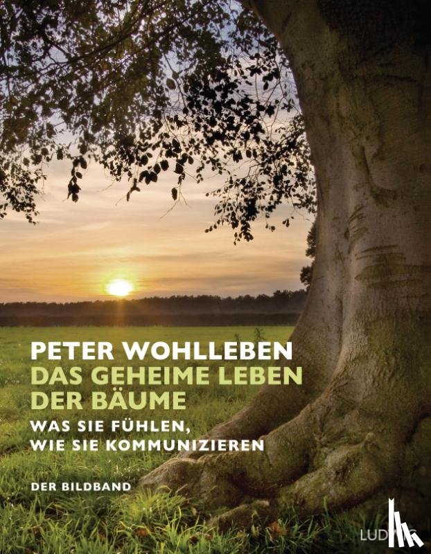 Wohlleben, Peter - Das geheime Leben der Bäume