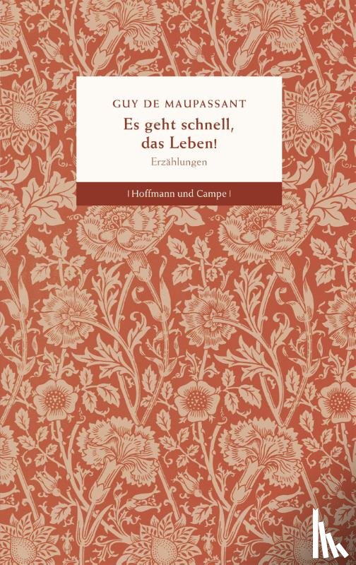 Maupassant, Guy de - Es geht schnell, das Leben!