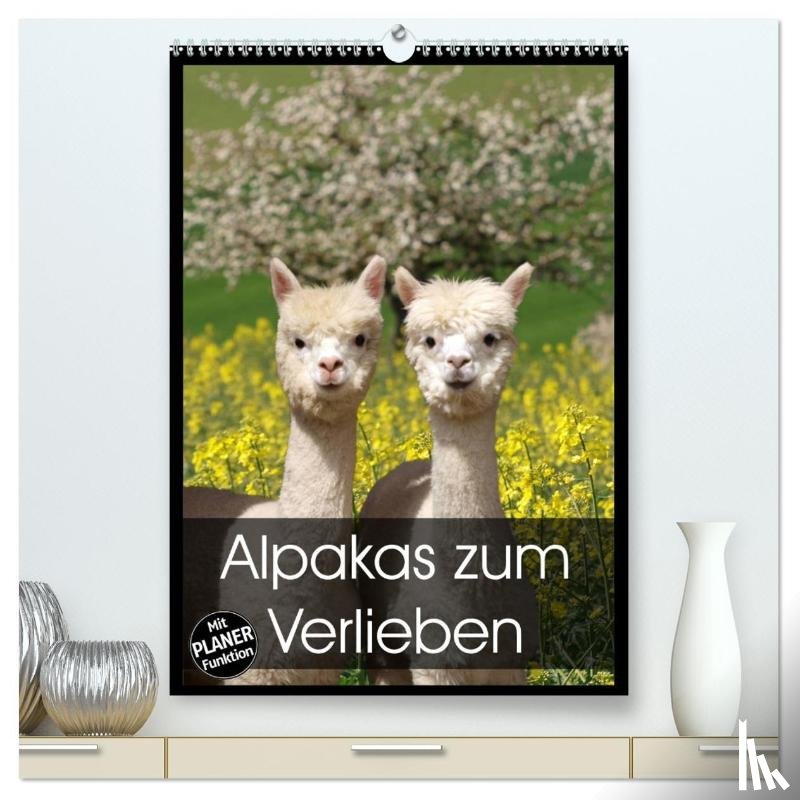 Rentschler, Heidi - Alpakas zum Verlieben (hochwertiger Premium Wandkalender 2025 DIN A2 hoch), Kunstdruck in Hochglanz