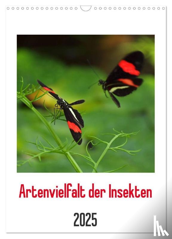 Laimgruber, Dagmar - Artenvielfalt der Insekten (Wandkalender 2025 DIN A3 hoch), CALVENDO Monatskalender