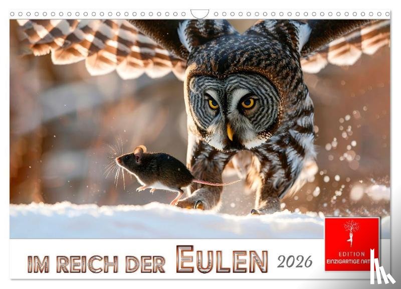 Roder, Peter - Im Reich der Eulen (Wandkalender 2026 DIN A3 quer), CALVENDO Monatskalender