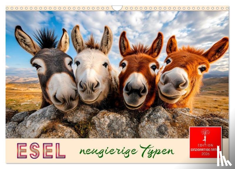 Roder, Peter - Esel - neugierige Typen (Wandkalender 2026 DIN A3 quer), CALVENDO Monatskalender