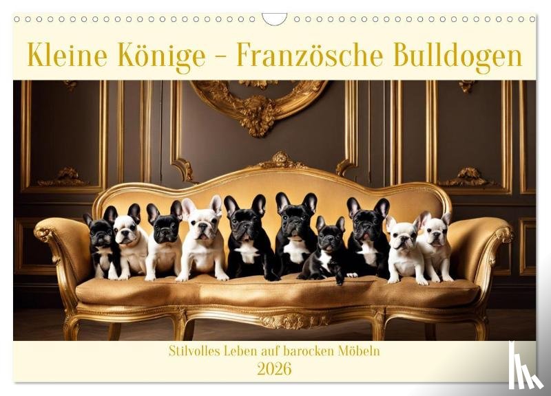 Kleemann, Claudia - Kleine Könige - Französische Bulldoggen (Wandkalender 2026 DIN A3 quer), CALVENDO Monatskalender