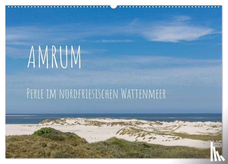 Simone Flach, Sandra - Amrum - Perle im nordfriesischen Wattenmeer (Wandkalender 2026 DIN A2 quer), CALVENDO Monatskalender