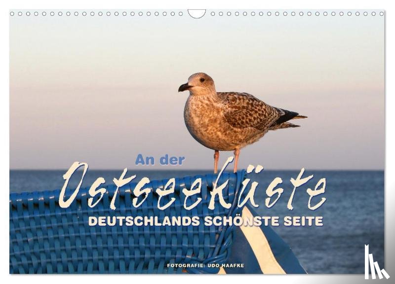 Haafke, Udo - An der Ostseeküste - Deutschlands schönste Seite (Wandkalender 2026 DIN A3 quer), CALVENDO Monatskalender