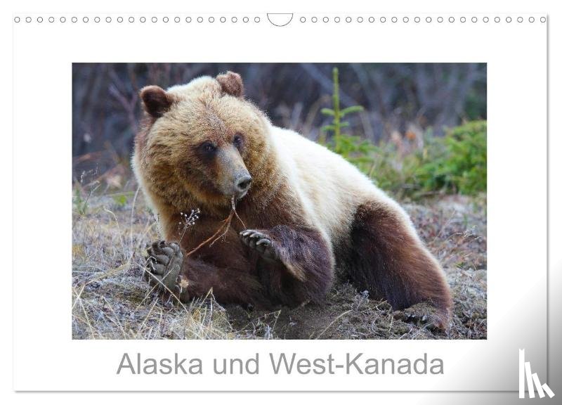 Braue, Carsten - Alaska und West-Kanada (Wandkalender 2026 DIN A3 quer), CALVENDO Monatskalender