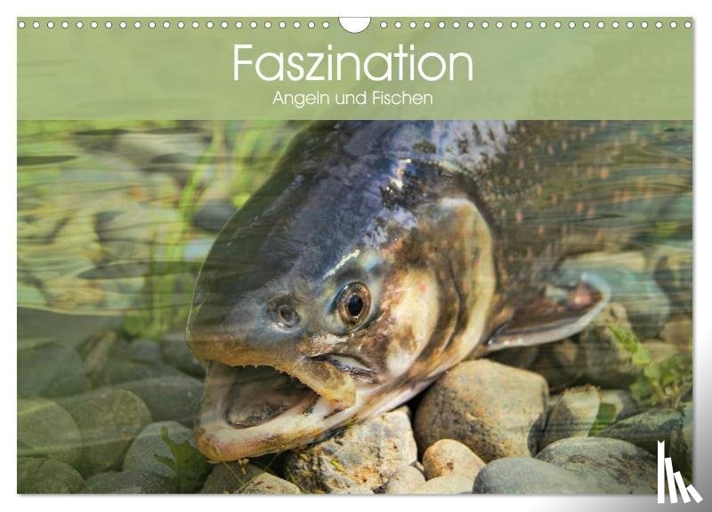 Stanzer, Elisabeth - Faszination Angeln und Fischen (Wandkalender 2026 DIN A3 quer), CALVENDO Monatskalender
