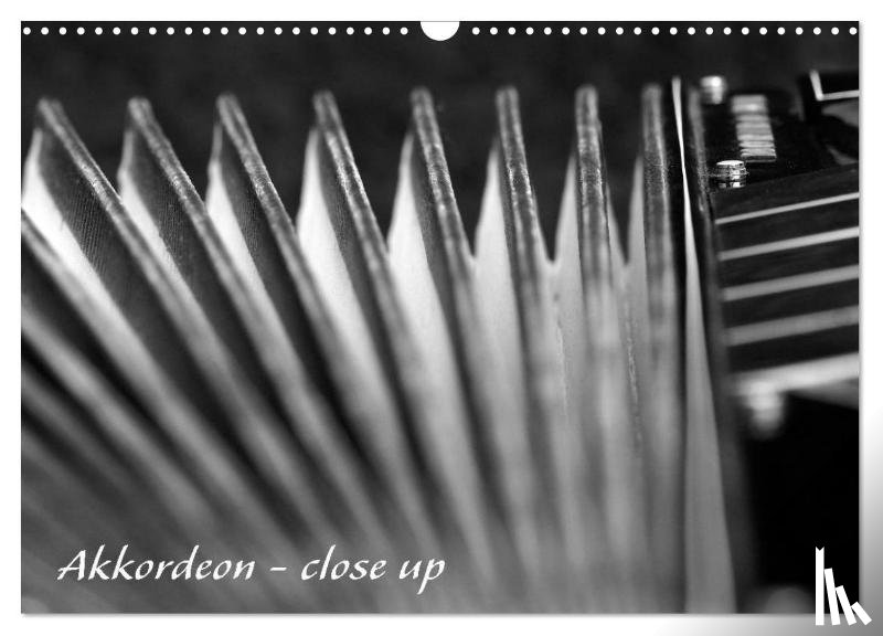 Drafz, Silvia - Akkordeon - close up (Wandkalender 2026 DIN A3 quer), CALVENDO Monatskalender