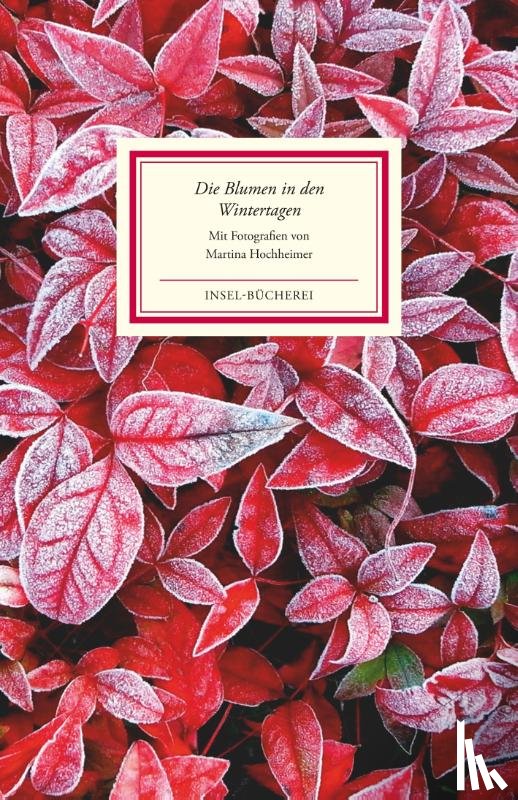  - Die Blumen in den Wintertagen