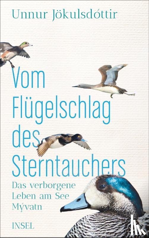 Jökulsdóttir, Unnur - Vom Flügelschlag des Sterntauchers