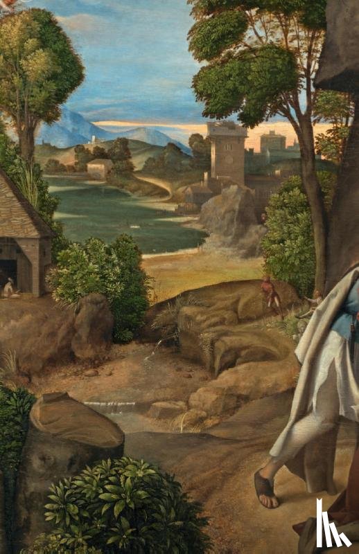 Papst, Manfred - Zeichen und Wunder