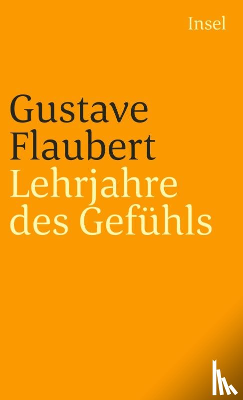 Flaubert, Gustave - Lehrjahre des Gefühls