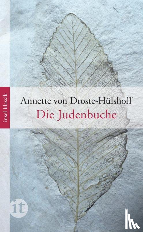 Droste-Hülshoff, Annette von - Die Judenbuche