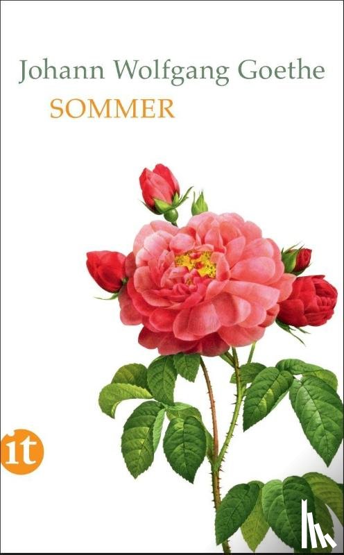 Goethe, J W von - Sommer