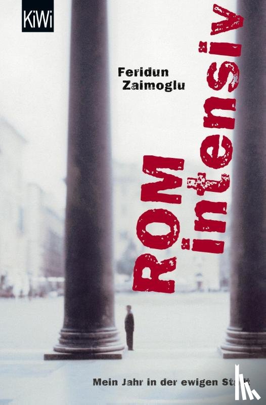 Zaimoglu, Feridun - Rom intensiv