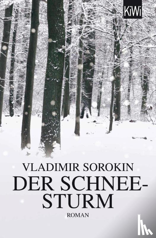 Sorokin, Vladimir - Der Schneesturm