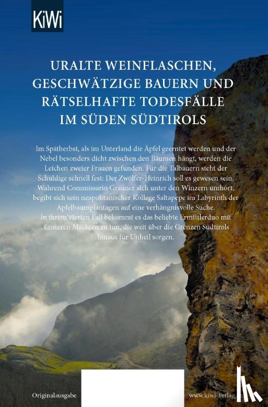 Koppelstätter, Lenz - Das Tal im Nebel