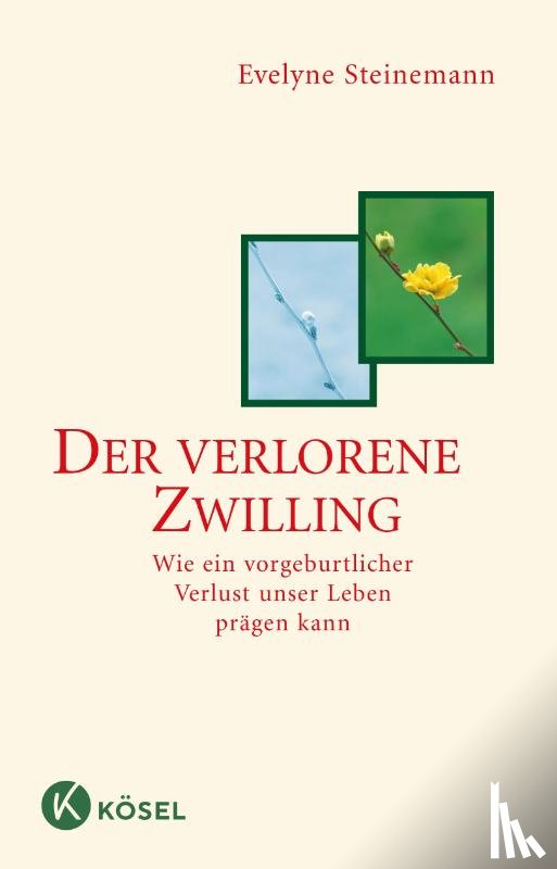Steinemann, Evelyne - Der verlorene Zwilling