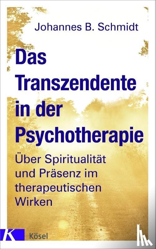 Schmidt, Johannes B. - Das Transzendente in der Psychotherapie