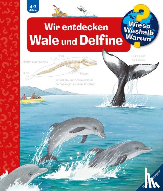 Rübel, Doris - Wieso? Weshalb? Warum?, Band 41: Wir entdecken Wale und Delfine