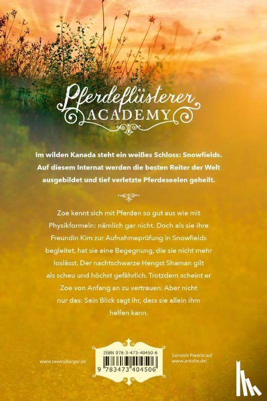 Mayer, Gina - Pferdeflüsterer-Academy, Band 1: Reise nach Snowfields