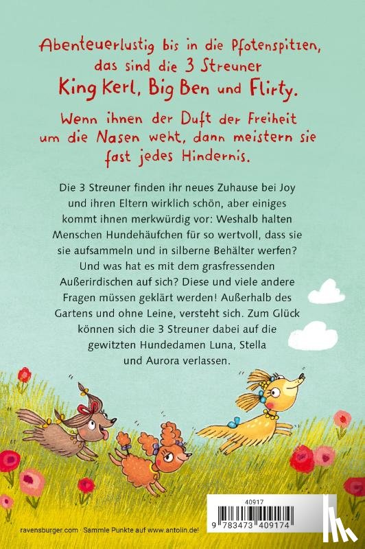 Fröhlich, Anja - 3 Streuner wittern das Abenteuer